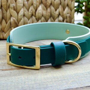 May include: A two-tone dog collar in shades of green and mint. The collar features a gold-colored buckle and hardware. The collar is made of a smooth material and is designed for a pet.