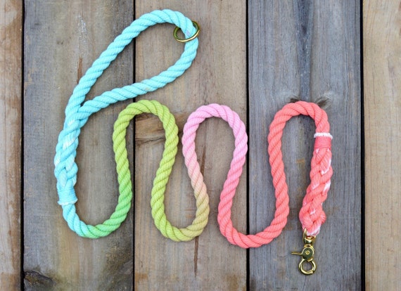 Aqua, Green, Coral Rope Dog Leash: Colorful Rope Dog Leash 