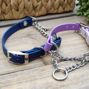 May include: Two dog collars, one blue and one purple, with a silver chain connecting them. The collars are made of a soft, flexible material.