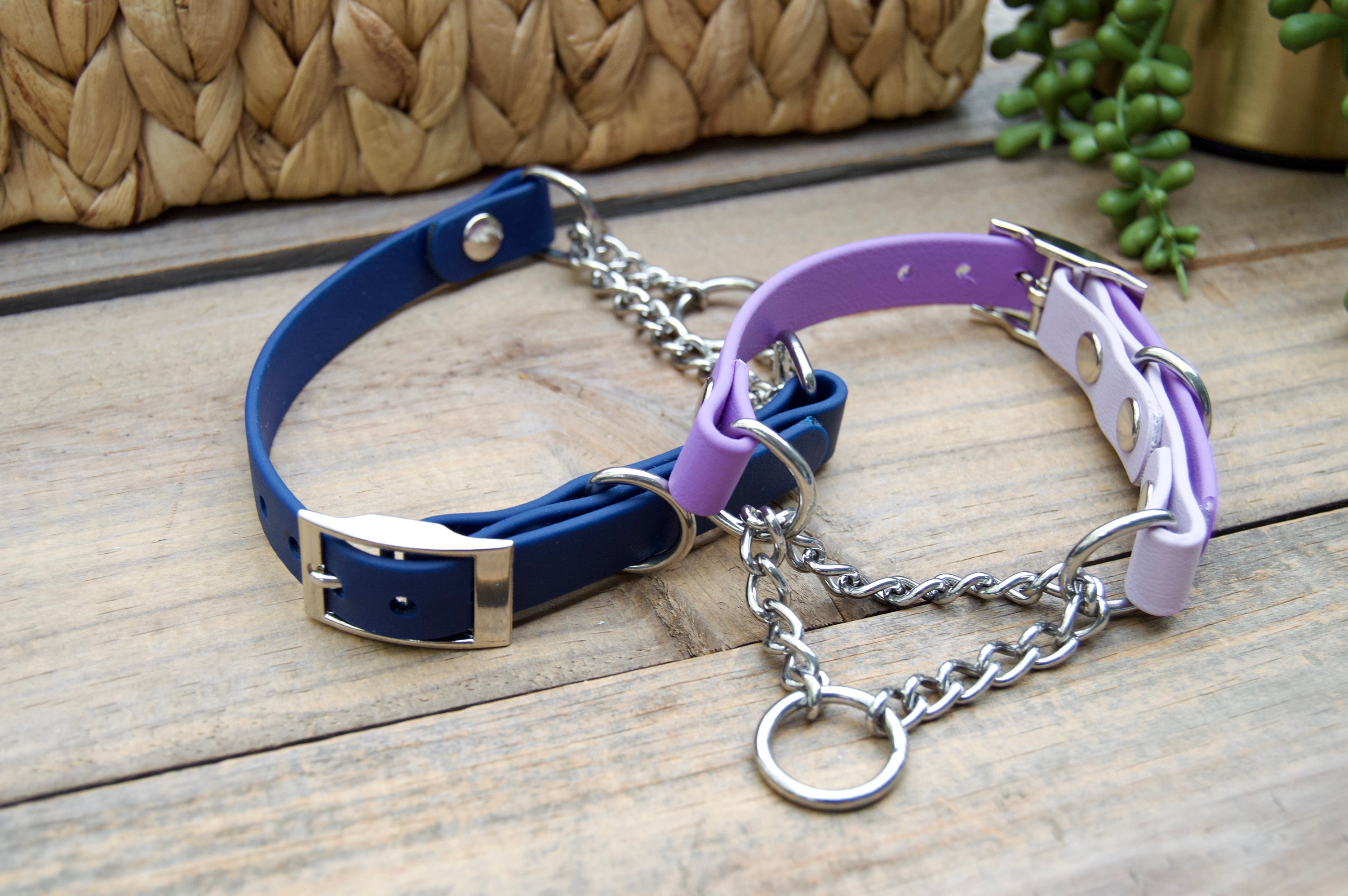 Toy Dog Training Collar - Main Image