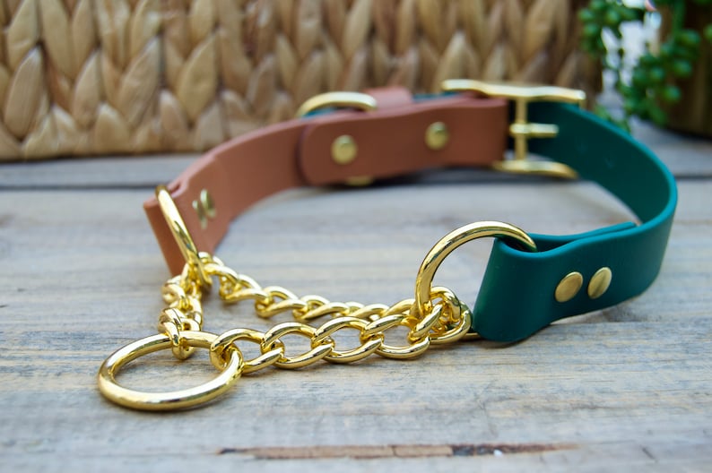 Pu&ograve; includere: Un collare per cani in pelle verde e marrone con una catena dorata e due fibbie dorate. Il collare &egrave; su una superficie di legno.