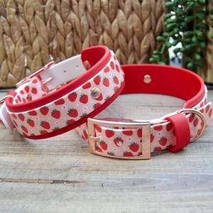 Strawberry Biothane Dog Collar: Printed Waterproof, Adjustable 1" and 1.5" Wide