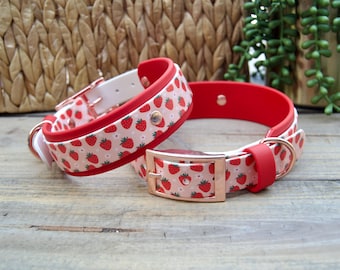 Strawberry Biothane Dog Collar: Printed Waterproof, Adjustable 1" and 1.5" Wide