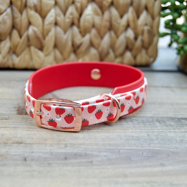 Strawberry: Mini Printed Double Layer Biothane Dog Collar 5/8" Inch and 1" Inch Width Waterproof, Adjustable, Easy to Clean, Pink Fruit