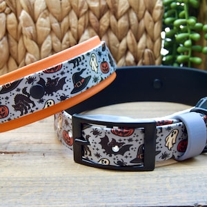 May include: Two pet collars featuring a gray background with a repeating Halloween pattern of orange pumpkins, black cats, bats, ghosts, spiders, and witch hats. One collar has an orange inner lining, while the other has a black buckle and lining.