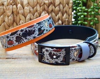 May include: Two pet collars featuring a gray background with a repeating Halloween pattern of orange pumpkins, black cats, bats, ghosts, spiders, and witch hats. One collar has an orange inner lining, while the other has a black buckle and lining.