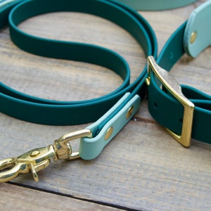 May include: A dog leash and collar set in shades of green and mint. The leash is a deep forest green, with a matching collar. Both pieces have gold-colored metal hardware, including a clasp and buckle. The set is made of a smooth, durable material.