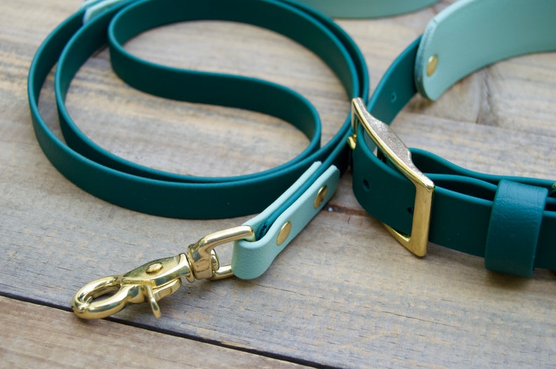 May include: A dog leash and collar set in shades of green and mint. The leash is a deep forest green, with a matching collar. Both pieces have gold-colored metal hardware, including a clasp and buckle. The set is made of a smooth, durable material.