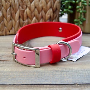RTS: 16-19 INCH Pastel Pink and Red Double Layer Biothane Dog Collar