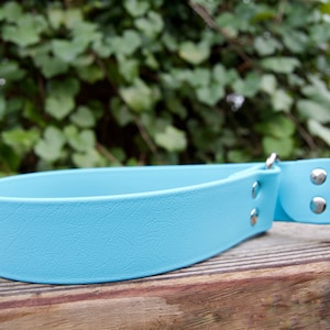 XL 1.5 Inch Slip Collar Biothane Dog Collar, 1 1/2 Inch Width: Waterproof,Leather Alternative, Durable, Easy Clean, training collar