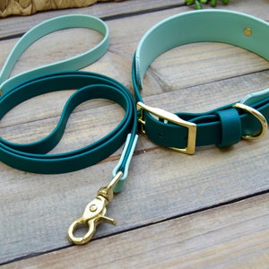 May include: A teal and mint green dog collar and leash set with gold-colored hardware. The collar and leash are made of a smooth, waterproof material. The collar has a buckle closure, and the leash has a clasp for easy attachment.