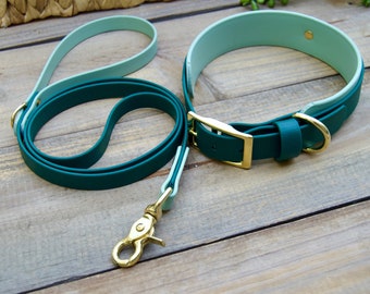 May include: A teal and mint green dog collar and leash set with gold-colored hardware. The collar and leash are made of a smooth, waterproof material. The collar has a buckle closure, and the leash has a clasp for easy attachment.