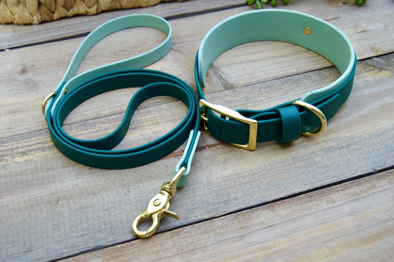 May include: A teal and mint green dog collar and leash set with gold-colored hardware. The collar and leash are made of a smooth, waterproof material. The collar has a buckle closure, and the leash has a clasp for easy attachment.