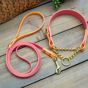 Bundle of Two Tone Tapered Martingale Biothane Dog Collar and Leash: Waterproof Lead, Durable, Easy to Clean, Training Collar, Matching Set
