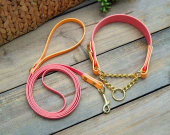 Bundle of Two Tone Tapered Martingale Biothane Dog Collar and Leash: Waterproof Lead, Durable, Easy to Clean, Training Collar, Matching Set