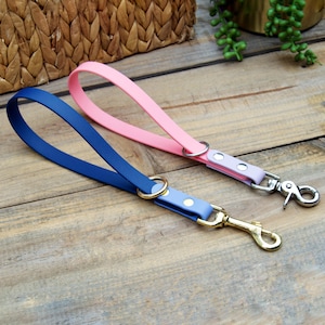 May include: Two dog leashes, one pink and one blue, with gold hardware and a silver clip. The leashes are made of a smooth, rubber-like material.