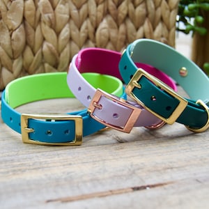 Mini Double Layer Biothane Dog Collar, Two Tone/Color 5/8&quot; Inch and 1&quot; Inch Width: Waterproof, Adjustable, Durable, Easy to Clean