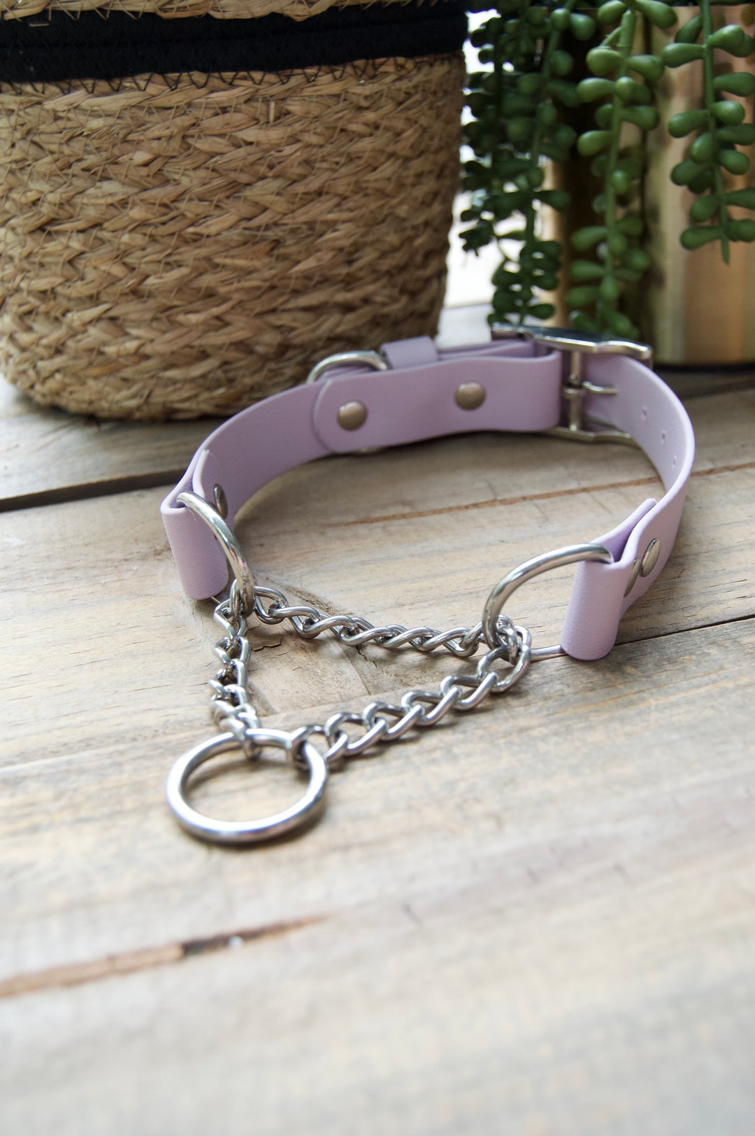 Martingale Adjustable Biothane® Dog Collar, 1 Inch Width Waterproof