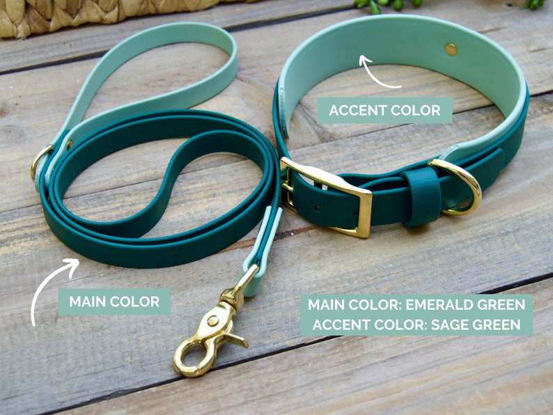 May include: Emerald green and sage green dog collar and leash set. The collar has a gold-colored buckle and D-ring. The leash has a matching gold-colored clasp. The set is made of a durable material.