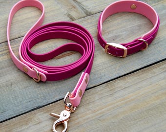 May include: A pink and magenta dog collar and leash set with rose gold hardware.