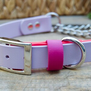 Pu&ograve; includere: Un collare per cani color lavanda e rosa con una fibbia argentata e un anello a catena argentato.