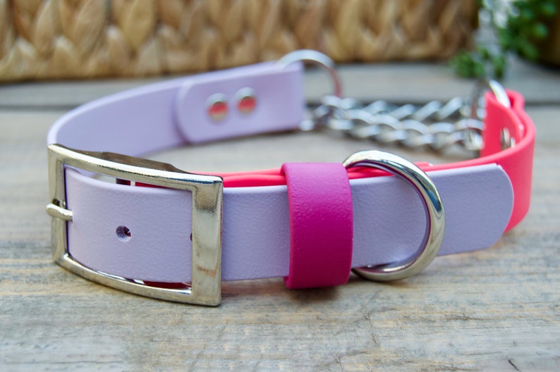 Pu&ograve; includere: Un collare per cani color lavanda e rosa con una fibbia argentata e un anello a catena argentato.