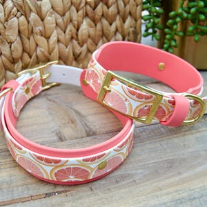 May include: Two pink dog collars with a white background and a grapefruit print. The collars have gold buckles and D-rings.
