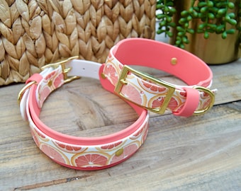 Grapefruit: Double Layer Printed Biothane Dog Collar 1" Inch and 1.5" Inch Width, Fruit Pink Red Waterproof Adjustable Durable Easy to Clean