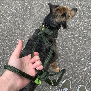 Puede incluir: Una persona paseando a un perro con una correa de cuerda verde. El perro lleva un collar estampado en verde y negro con un cierre dorado. La persona lleva zapatillas verdes.