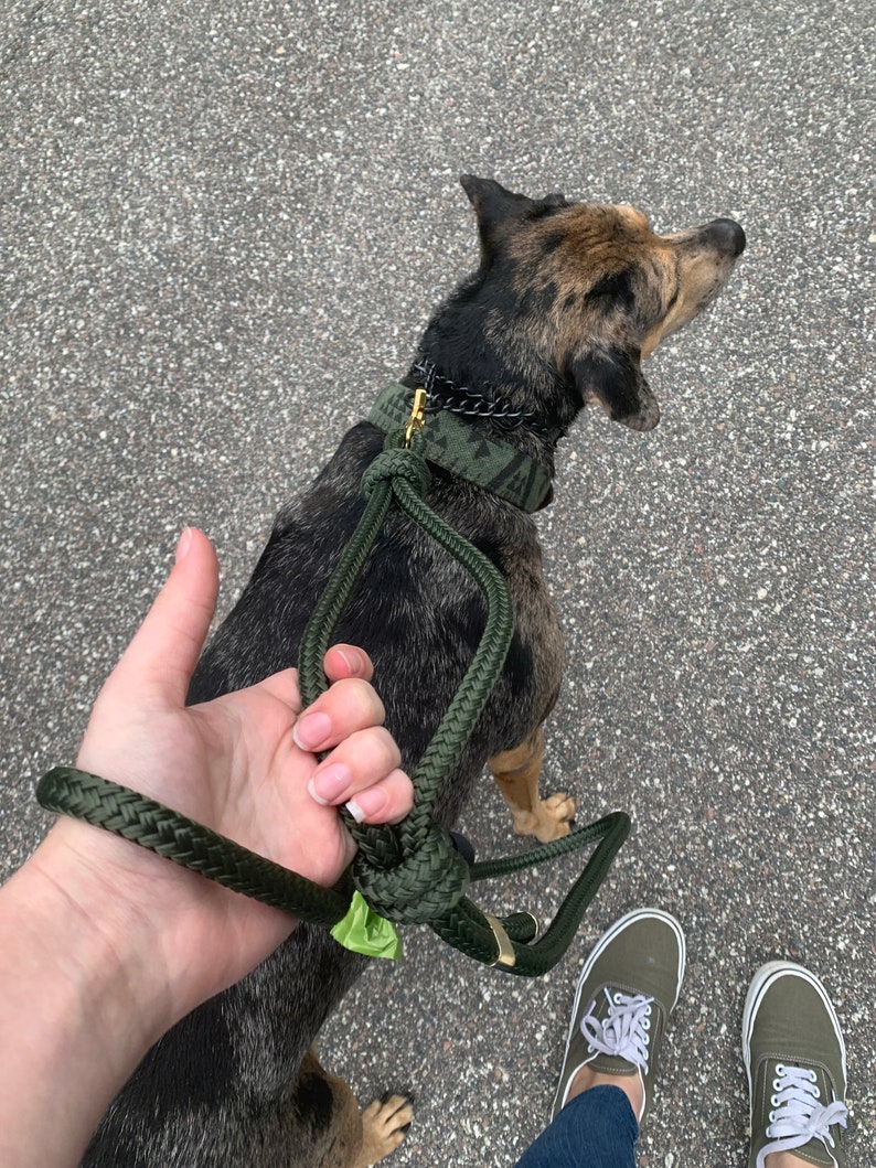 Puede incluir: Una persona paseando a un perro con una correa de cuerda verde. El perro lleva un collar estampado en verde y negro con un cierre dorado. La persona lleva zapatillas verdes.