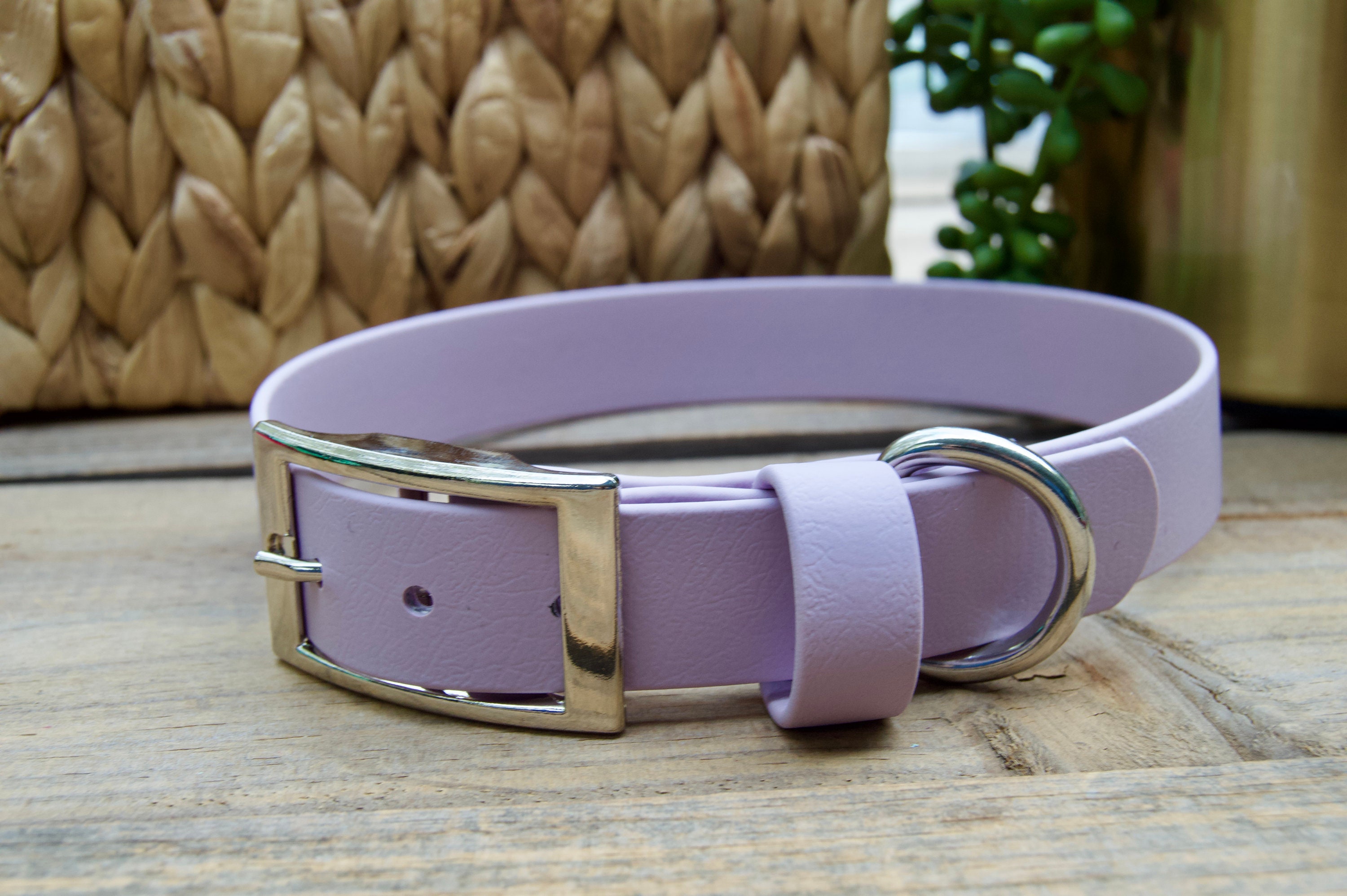 Classic Biothane Dog Collar, Single Color 1