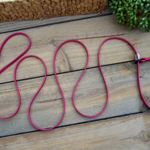 Slip Leash Biothane Dog Leash, 5/8 inch Width Animal leash, Lead, Waterproof, Kennel Lead, Loop Leash, Durable, Easy to Clean