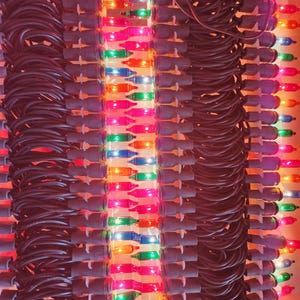 May include: A collection of multi-colored string lights featuring small, vibrant bulbs in shades of red, green, blue, and orange. The lights are arranged in vertical rows with dark, coiled electrical cords connecting each individual bulb socket.