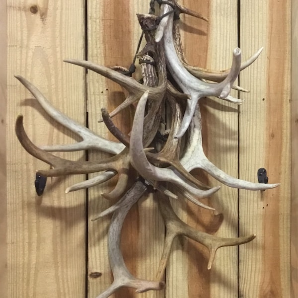 Antler Shed Display Hanger - Antlers NOT included - Display YOUR antlers