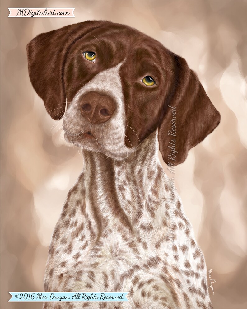 German Shorthaired Pointer Realistic Portrait Art Print GSP | Etsy
