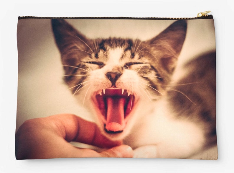 Studio Pouch Cat Accessories Animal Lover Gift Colorful Pouch Animal Print Bag Cat ipad Case Polyester Bag Cat Bag Crazy Cat Lady