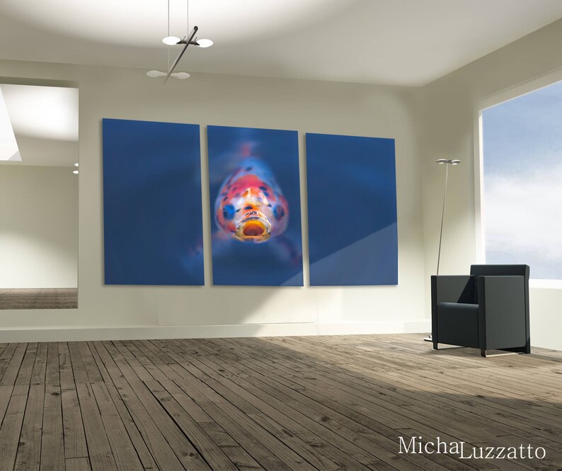 Gold Fish Print Bathroom Wall Decor Funny Face Photo Large Art Aquarium Nursery Goldfish