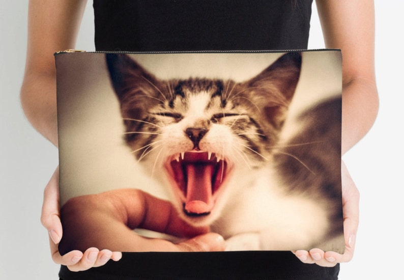 Studio Pouch Cat Accessories Animal Lover Gift Colorful Pouch Animal Print Bag Cat ipad Case Polyester Bag Cat Bag Crazy Cat Lady