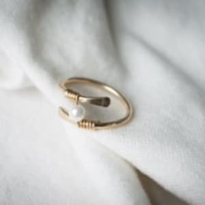 GOLD Fidget Ring