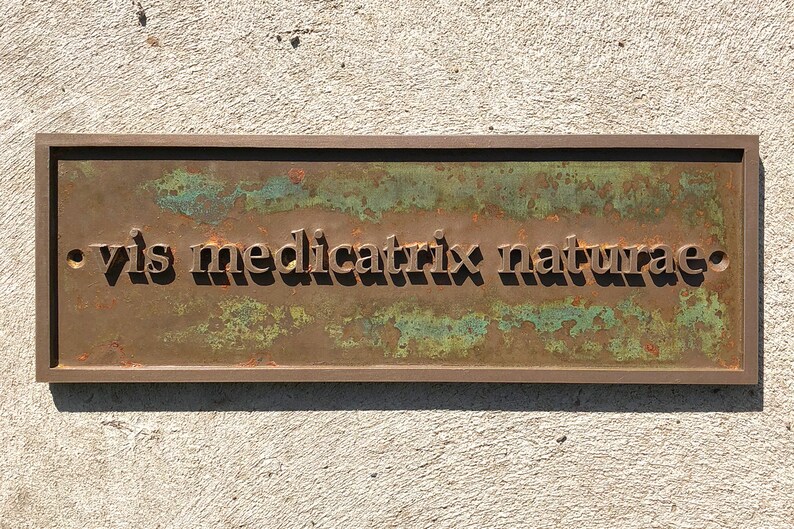 May include: Rectangular bronze plaque with the Latin phrase "vis medicatrix naturae" in raised lettering. The plaque has a weathered, aged appearance with green and brown patina, and is mounted on a textured, light gray surface.