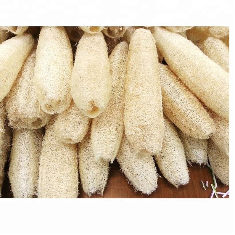 best loofah seeds