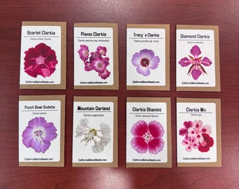 Clarkia Carnival seed set - 8 Varieties