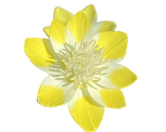 May include: A single yellow flower with white stripes on the petals. The flower has a white center with a cluster of small white petals.