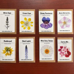 GIFT SET: California Native Seeds, Drought Tolerant
