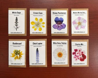 GIFT SET: California Native Seeds, Draught Tolerant