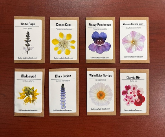 GIFT SET: California Native Seeds, Drought Tolerant - Etsy