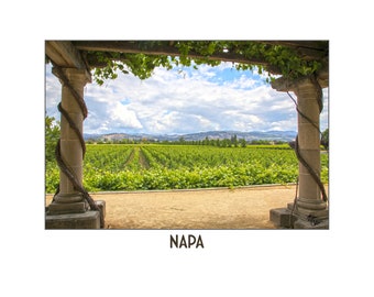 View in Napa Valley - Photo paper poster 11x14