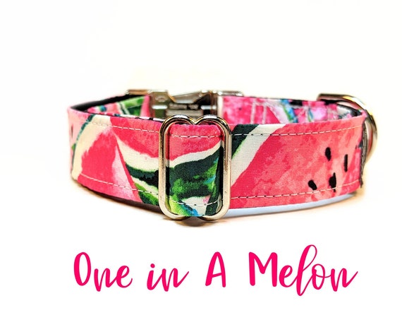 Watermelon Buckle Collar: Pink summer girly dog collar; black satin lined; silver hardwares; adjustable lengths