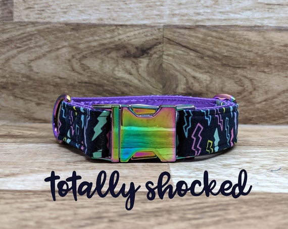 Neo chrome lightning bolt buckle dog collar; multi / rainbow chrome hardware; purple satin lined