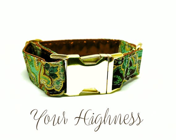 Buckle Dog Collar: Green, Gold and Brown, Paisley, Brass Hardware, side release, clip style 1" width